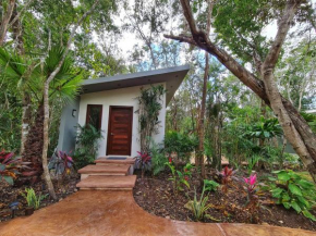 Secret Gardens Bacalar Suite 01 con alberca y bicicletas